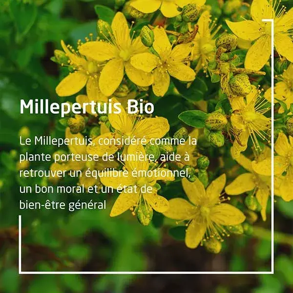 Weleda Extraits de Plantes Millepertuis Bio 60ml