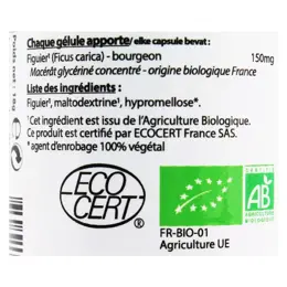 Vit'all+ Gemm'Vital Figuier Bio 60 gélules végétales