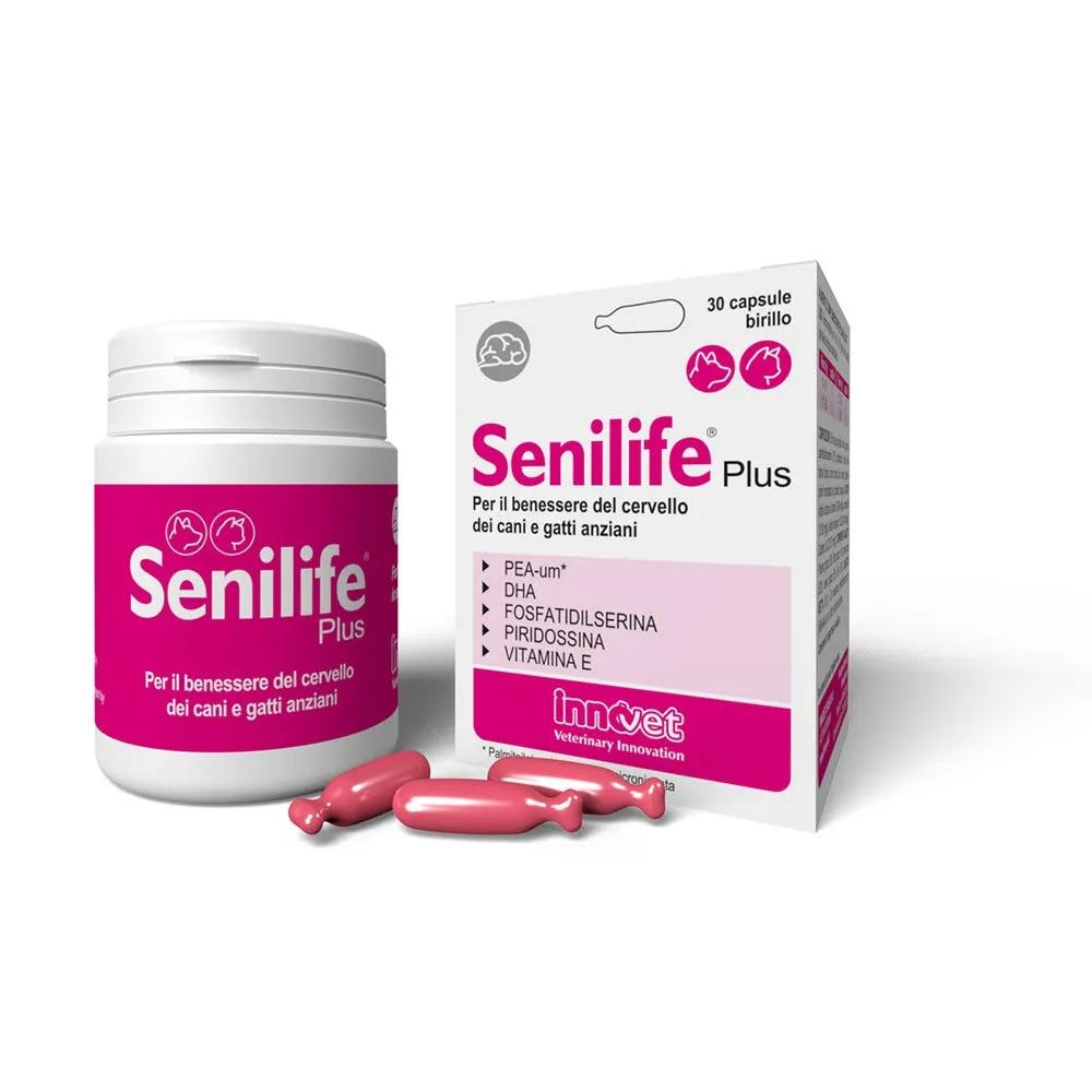 Senilife Plus Integratore per il Benessere del Cervello di Cani e Gatti Anziani 30 Capsule