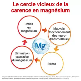 MAG 2 Gommes Framboise Magnésium Vitamine B6 Fatigue Nervosité 45 gommes