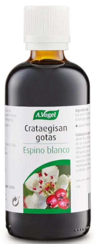 A. Vogel Crataegisan Gouttes 100 ml