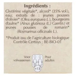 Herbalgem Complexe de Gemmothérapie Mémogem Mémoire Bio 30ml