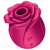 Satisfyer Pro 2 Classique Fleur