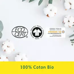 Nett 100% Coton Bio Tampon Normal avec Applicateur 16 unités