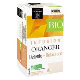 Dayang Infusion Oranger Bio 20 sachets