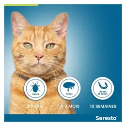 Seresto Chat Collier Anti-Puces et Anti-Tiques 2 unités