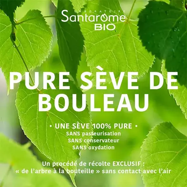 Santarome Bio Pure Linfa di Betulla 500ml Lotto da 3 x 500ml
