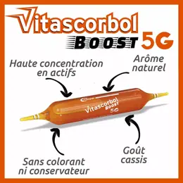 Vitascorbol Boost 5G 20 ampoules