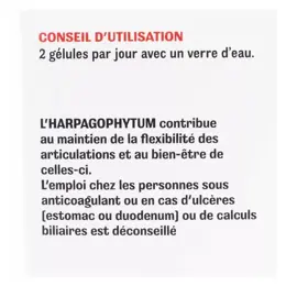 Phytalessence Artiphytol 40 gélules