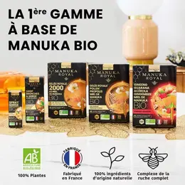 Santarome Bio Ginseng Guarana Acérola Miel de Manuka Bio 20 ampoules