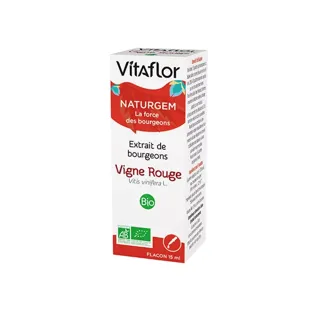 Germogli di Vitaflor estrarre vite Bio 15ml