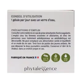 Phytalessence Mémoire 30 gélules