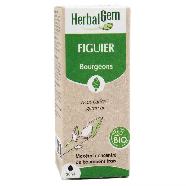 Herbalgem Figuier Bourgeons Bio 30ml