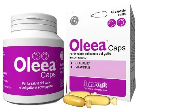 Innovet Oleea Caps Integratore Per Cani e Gatti In Sovrappeso 60 Capsule Birillo