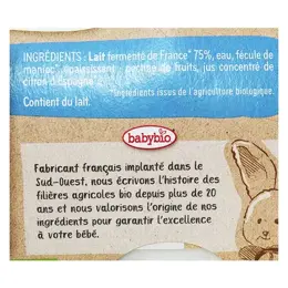 Babybio Desserts Lactés Pot Brassé au Lait de Vache Nature +6m Bio Lot de 2 x 130g