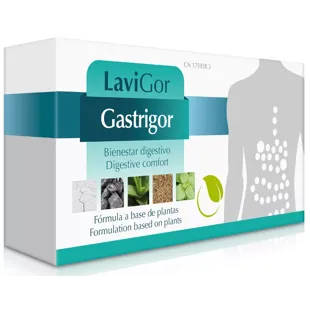 Lavigor Gastrigor 40 Kapseln