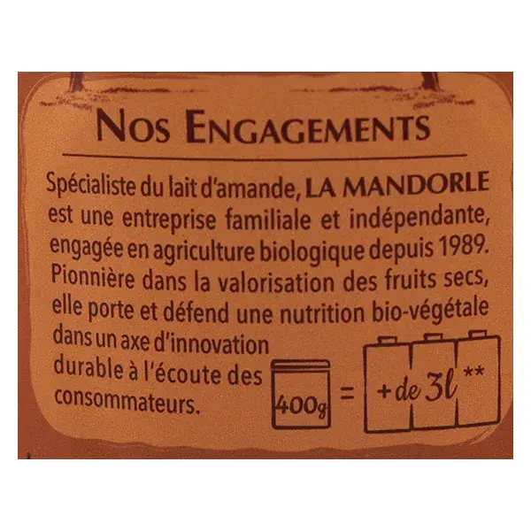 La Mandorle Instant Drink Powder Almond Milk Chocolate Organic 400g
