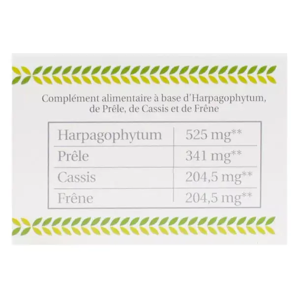 Herbesan Harpagophytum Articulations Bio 20 ampoules