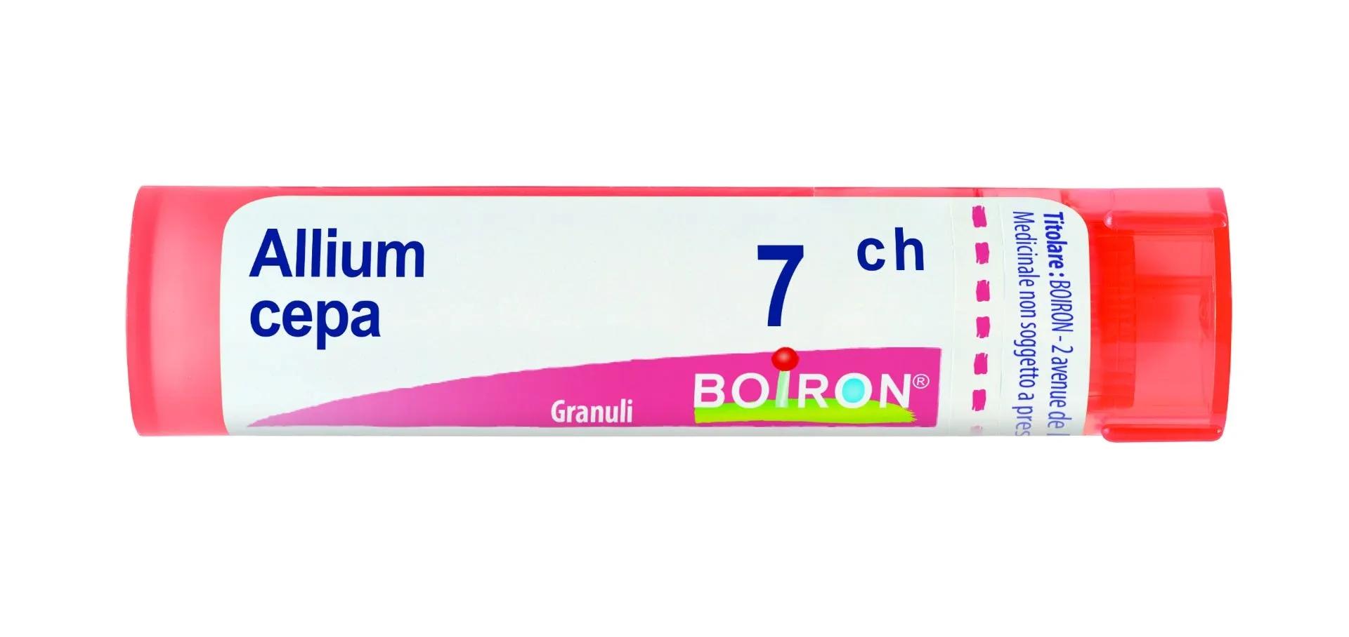 Boiron Allium Cepa 7CH Granuli Tubo