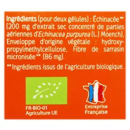 Naturactive Echinacée Bio Défenses Naturelles 60 gélules