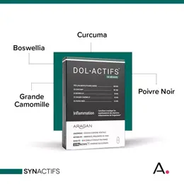 Aragan - Synactifs - Dolactifs® - Anti Inflammatoire - Curcuma - 20 Gélules