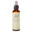 Flores de Bach 36 Wild Oat - avena loca 20ml