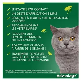 Advantage Solution Antipuce Chat Lapin +4kg 4 pipettes