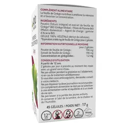 Arkopharma Arkogélules Ginkgo Bio 45 gélules