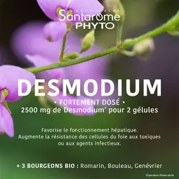 Santarome Phyto - Desmodium 2500 - Détoxifiant du Foie - 30 gélules