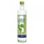 Oemine Savia de Abedul Nórdico Bio 500ml