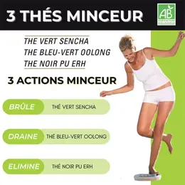 Nutrigée 3 Thés Minceur Bio Triple Action 60 sachets