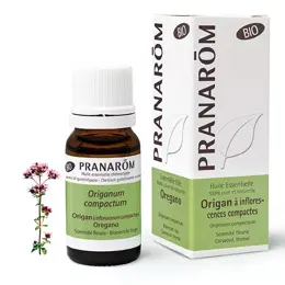 Pranarom Huile Essentielle Origan à Inflorescences Compactes Bio 10ml