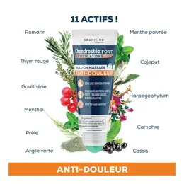 Granions Chondrostéo Fort Articulations Roll-on Massage Anti-douleur 50ml