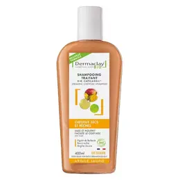 Dermaclay Shampoing Traitant Bio Cheveux Secs et Rêches Argile Jaune 400ml