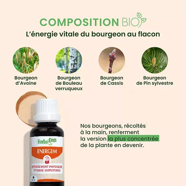 Herbalgem Energem Epuisement Physique Bio 30 Ml