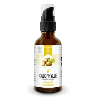 Dayang Olio Vegetale Calophylle Bio 50ml