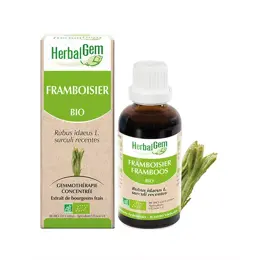 Herbalgem Macérat Concentré Framboisier Bio 30ml