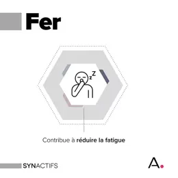 Aragan - Synactifs - Feractifs® - Anti-Fatigue - Fer, Vitamine C - 60 gélules