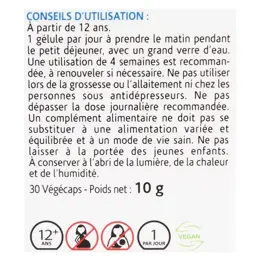 Naturland Safran Bio 30 gélules