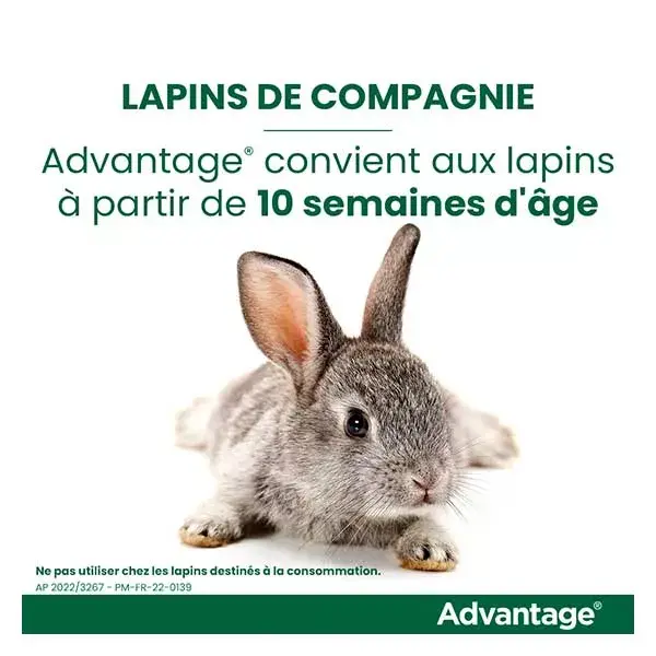 Advantage Solution Antipuce Chat Lapin +4kg 6 pipettes
