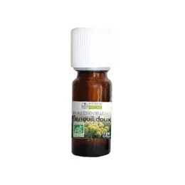 Propos' Nature Aroma-Phytothérapie Huile Essentielle Fenouil Doux Bio 10ml