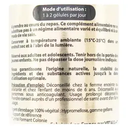 Vit'all+ Complexe Peau Nette 60 gélules végétales