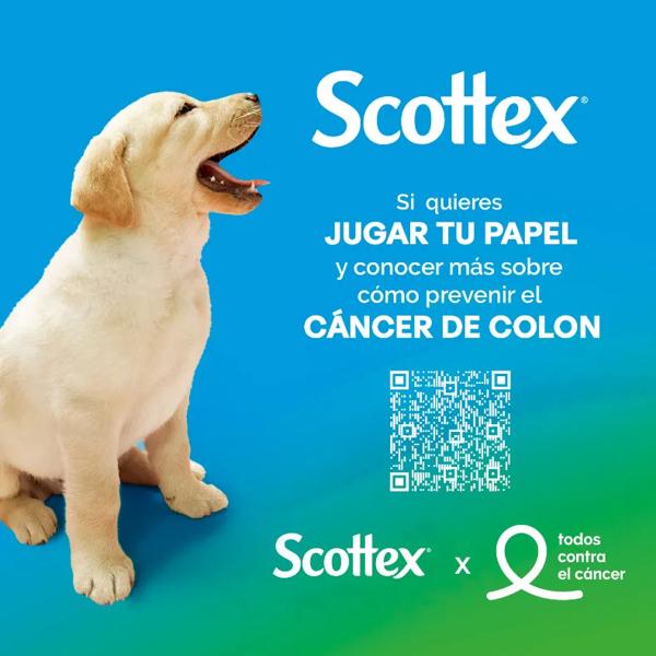 Scottex Gewatteerd Toiletpapier 9 Rollen