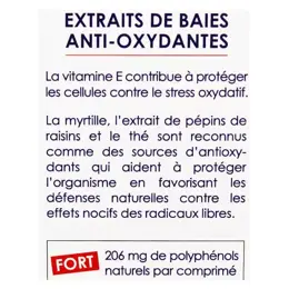 Nutrigée Anti-oxydant fort 60 comprimés