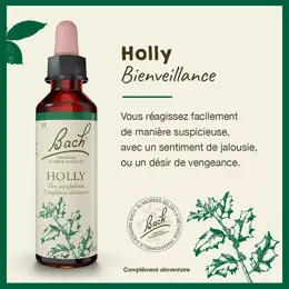 Fleurs de Bach® Original - Holly 20ml