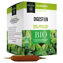 Dayang Complexe Digestion Ventre Plat Bio 20 ampoules