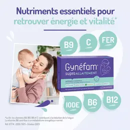 Gynéfam Supra Allaitement Boîte de 1 mois 60 capsules