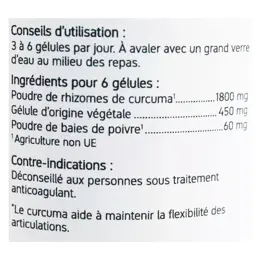 Nat & Form Original Curcuma Pipérine 200 gélules végétales