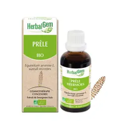 Herbalgem Macérat Concentré Prêle Bio 30ml