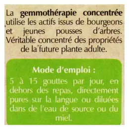 Herbalgem Macérat Concentré Viorne Bio 30ml